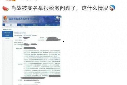 娱乐圈虚假爆料揭秘,真相与谣言的较量  第1张